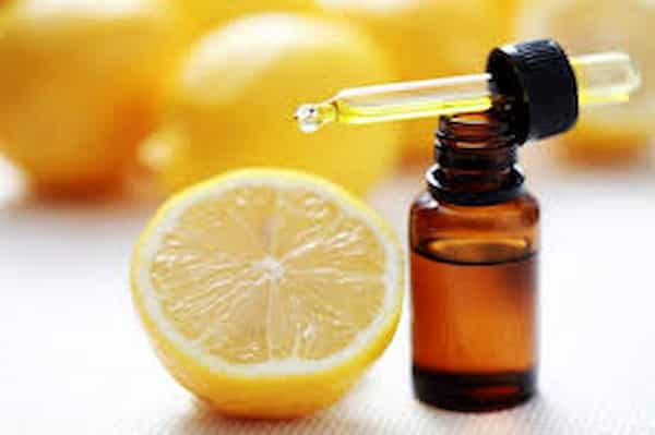 تصویر 1 از خرید اسانس طبیعی لیمو ترش + قیمت فروش استثنایی